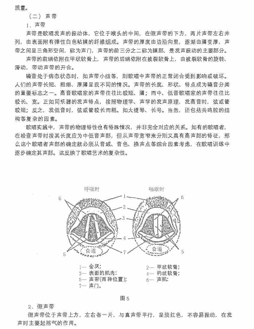 歌唱的生理基础《歌唱的发声器官与运用》_第3张