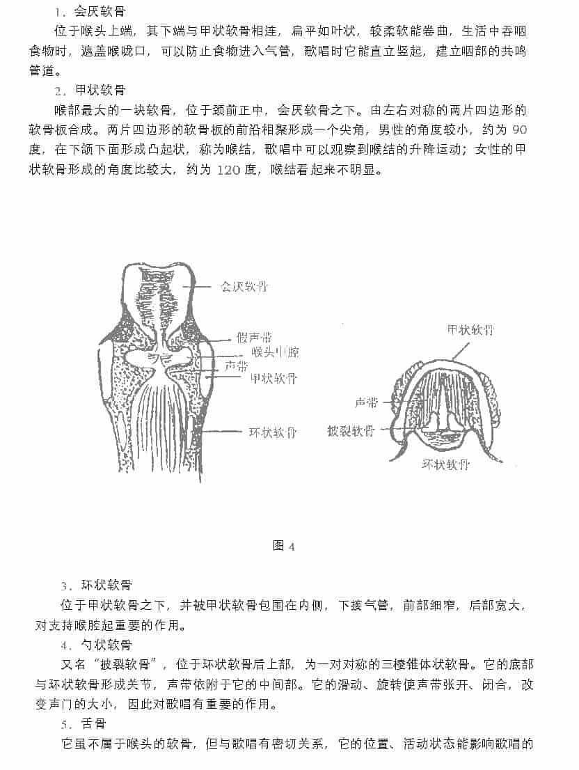歌唱的生理基础《歌唱的发声器官与运用》_第2张