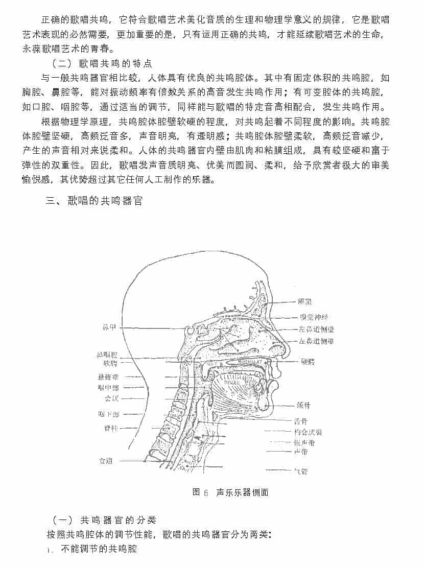 歌唱的生理基础《歌唱的共鸣器官与运用》_第2张
