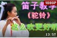 竹笛入门教学《驼铃》笛子独奏