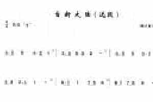 简单的洞箫乐曲《自新大陆 选段》德沃夏克 曲
