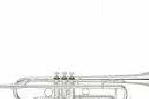 雅马哈Bb调小号[Xeno]YTR-8335RS//04图片参数说明及介格