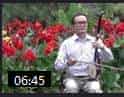 板胡名家张耀辉《眉户屠夫状元》低音板胡演奏