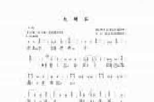 古琴乐曲谱 第九级《大胡笳》陈长林打谱
