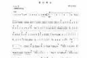 笛子考级练习曲《霍拉舞曲&［罗］迪尼库曲》竹笛九级乐曲谱