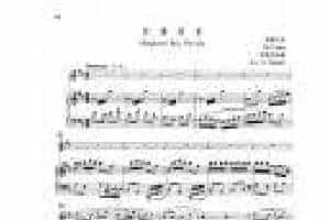 中国长笛曲《牧童短笛 Shepherd Boy Piccolo》钢琴伴奏谱长笛分谱
