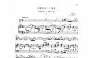 中国长笛曲《小奏鸣曲 清晨 Sonatina Morning》钢琴伴奏谱长笛分谱