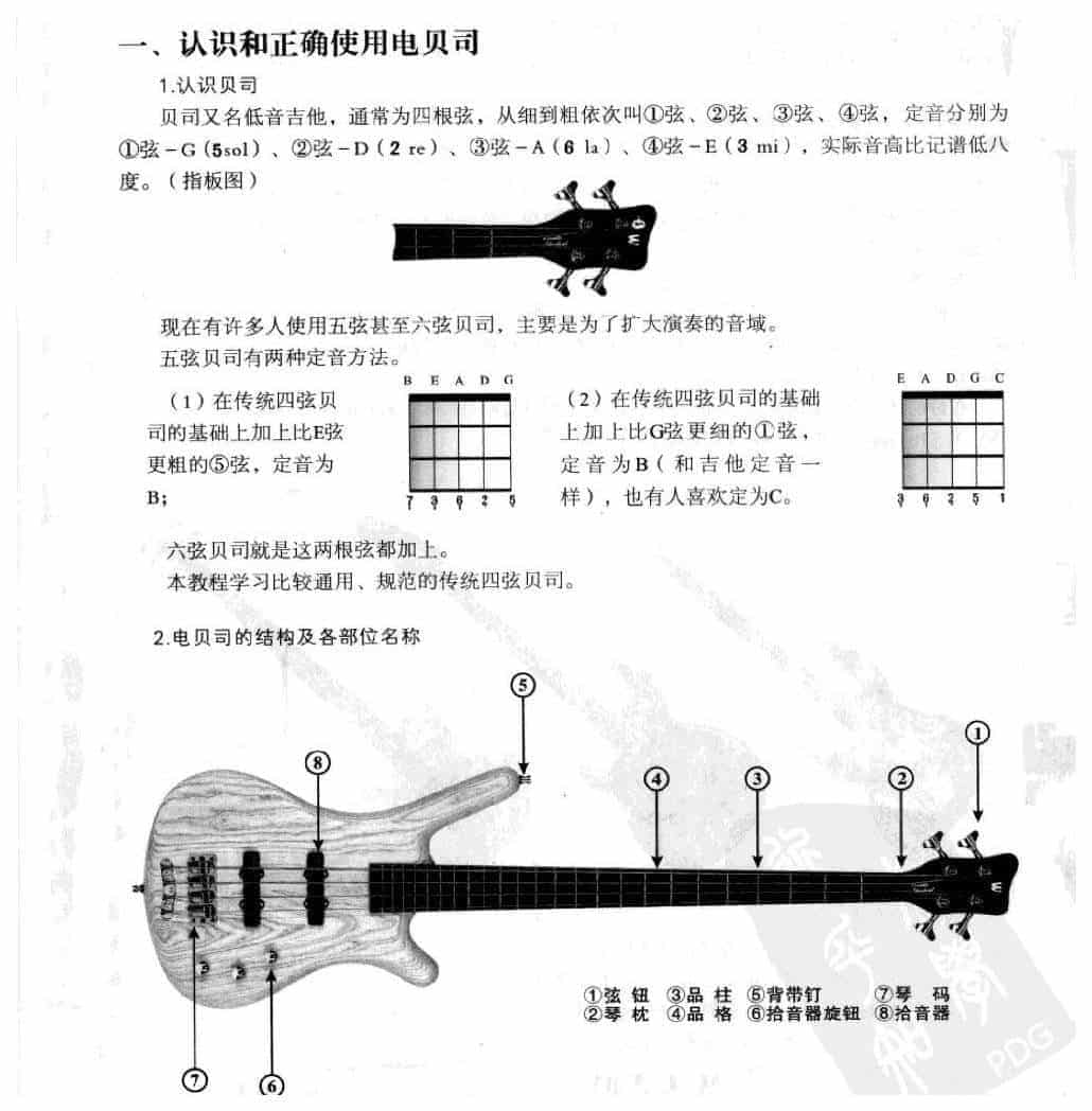 电贝司基础教学《认识和正确使用电贝司》_第1张