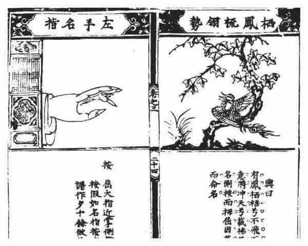 几种最基础的古琴指法图解_第15张