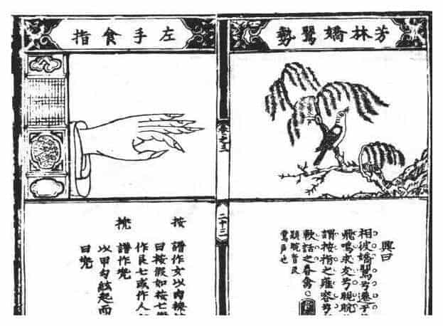 几种最基础的古琴指法图解_第17张