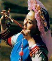 口弦介绍_第1张