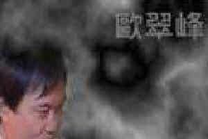 中国第一小号：欧翠峰 温柔的倾诉介绍