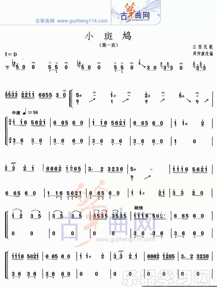 小斑鸠_第1张