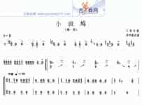 小斑鸠