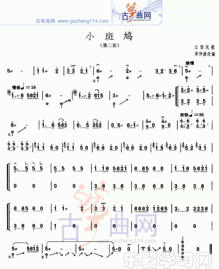小斑鸠_第2张