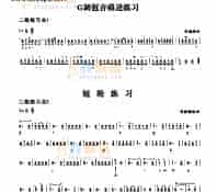 二级练习曲二首 民乐类 琵琶