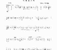 河南曲子风 民乐类 琵琶
