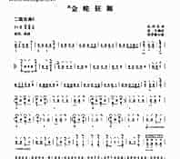 二级乐曲《金蛇狂舞》 民乐类 琵琶