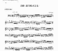 七级练习曲三首 民乐类 琵琶