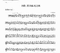 五级练习曲三首 民乐类 琵琶