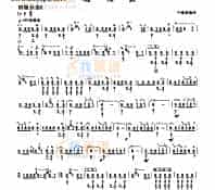 四级乐曲《赶花会》 民乐类 琵琶