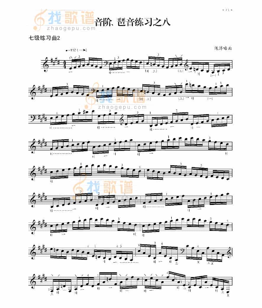 七级练习曲三首 民乐类 琵琶_第3张