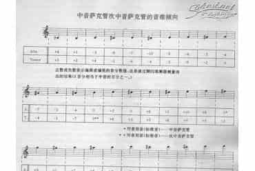 《萨克斯管演奏艺术》经典教程 音准的调整（调音）