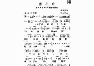电视连续剧红楼梦插曲葬花吟