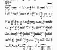 四级乐曲《赶花会》 民乐类 琵琶