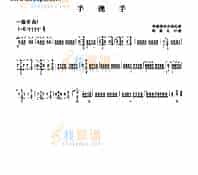 一级乐曲《手挽手》 民乐类 琵琶