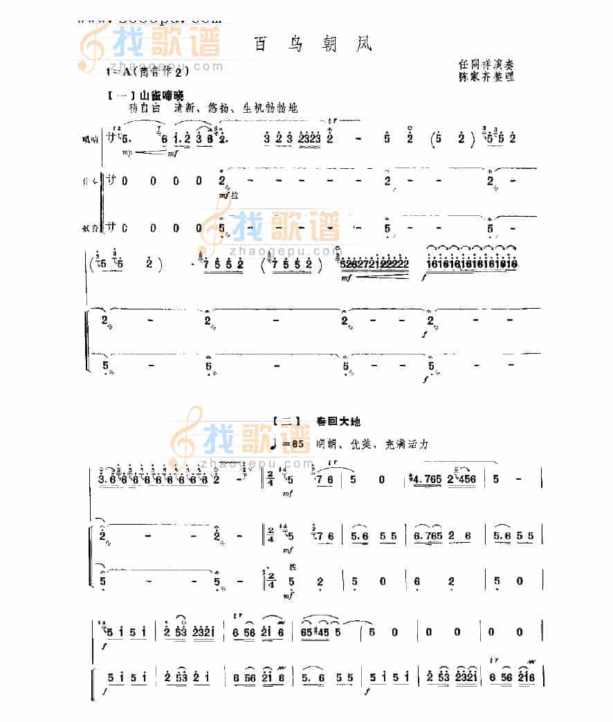 百鸟朝凤 民乐类 唢呐_第1张