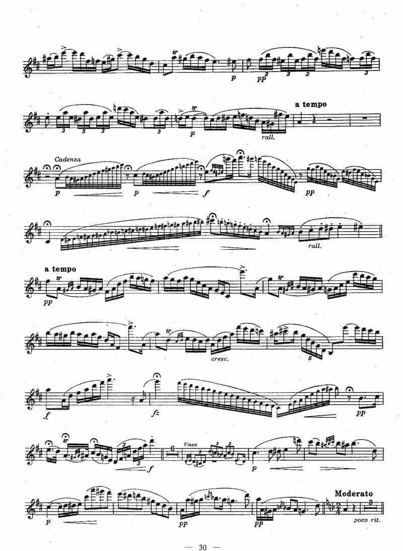 长笛独奏乐谱：匈牙利田园幻想曲_第4张