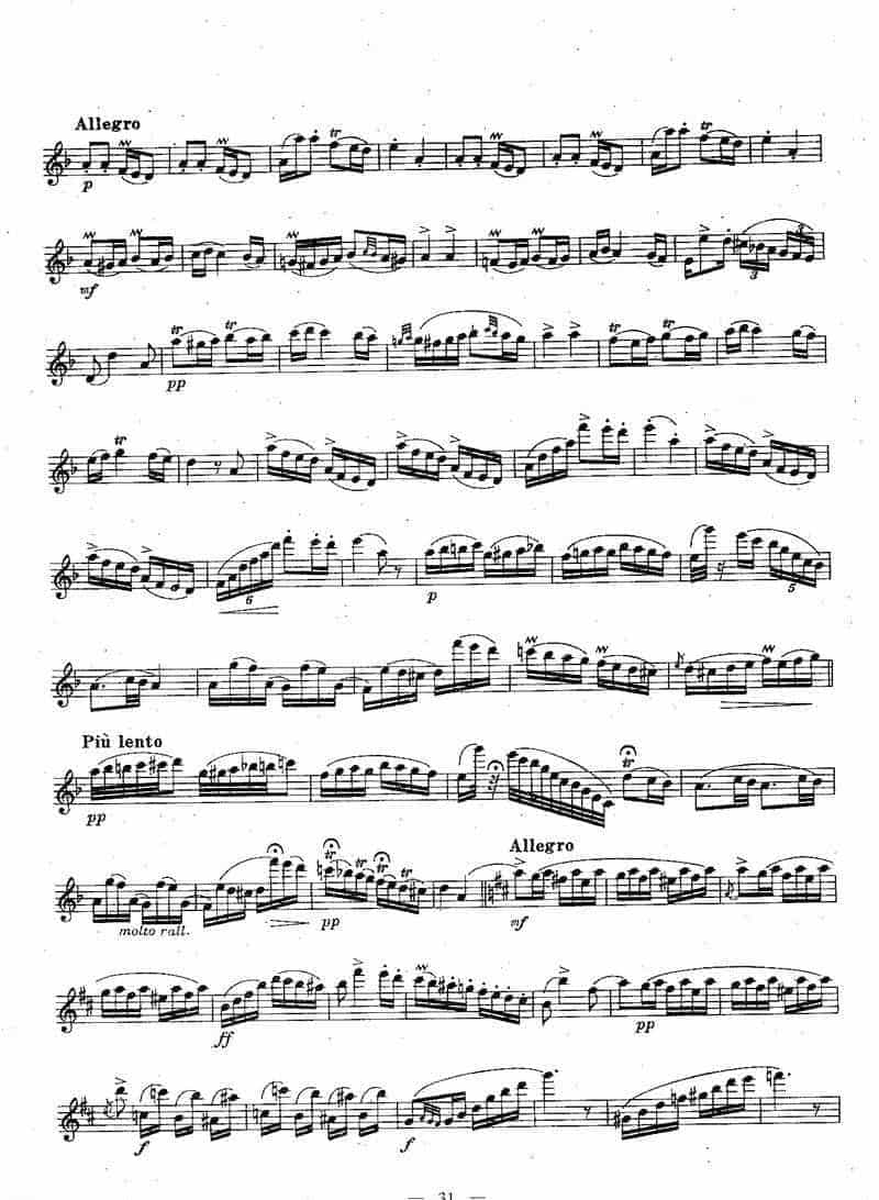 长笛独奏乐谱：匈牙利田园幻想曲_第5张