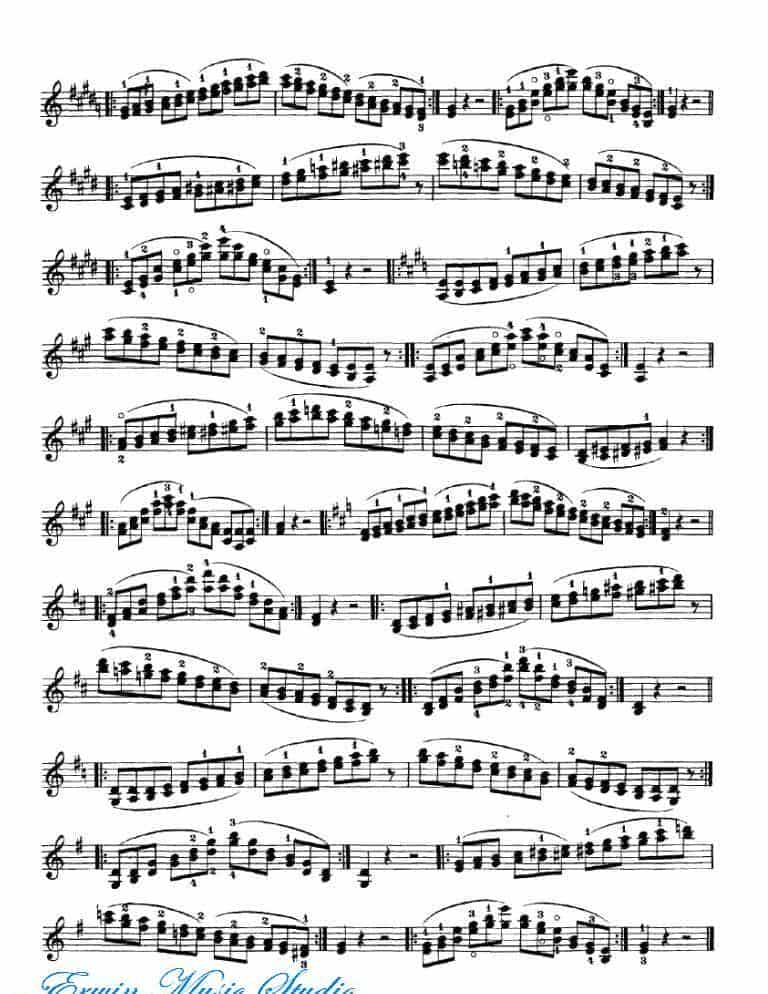 Bytovetskim 双弦练习 练习曲谱02_第13张