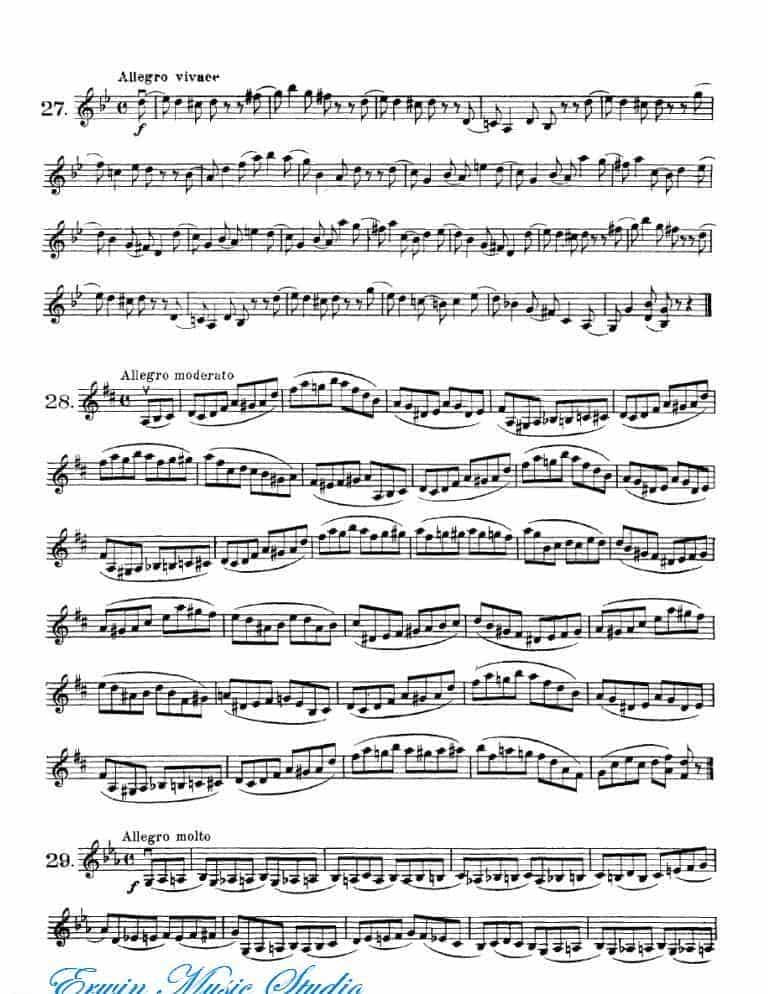 弗朗茨·沃尔法特-40首小提琴初级技巧练习曲 作品.54_第14张