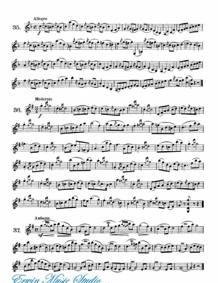 弗朗茨·沃尔法特-40首小提琴初级技巧练习曲 作品.54_第18张