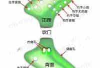 双管陶笛指法图