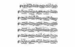 克莱斯勒-戈多夫斯基-无穷动 第6号 Fritz Kreisle, Leopold Godowsky, Perpetuum Mobile
