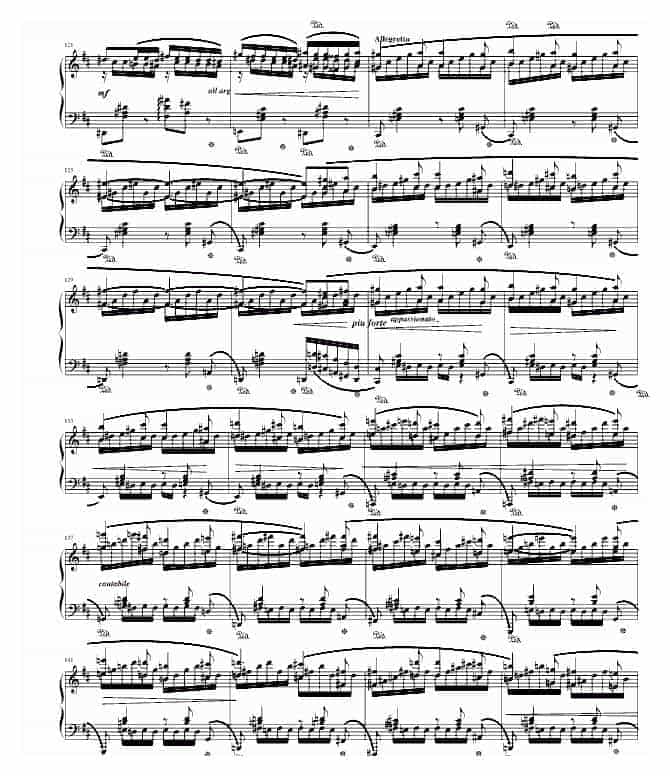 肖邦 chopin B小调幻想曲 钢琴谱_第8张