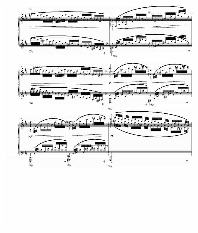 肖邦 chopin B小调幻想曲 钢琴谱_第13张