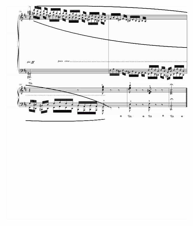 肖邦 chopin B小调幻想曲 钢琴谱_第14张
