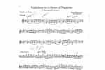 【帕格里尼大提琴变奏曲】Hans Bottermund 根据帕格里尼的作品改编