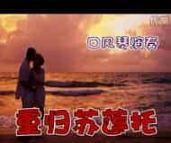 口风琴演奏视频欣赏【重归苏莲托】口风琴合奏