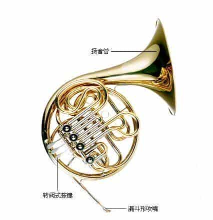 学好圆号的关键因素有哪些？学圆号的要求_第1张