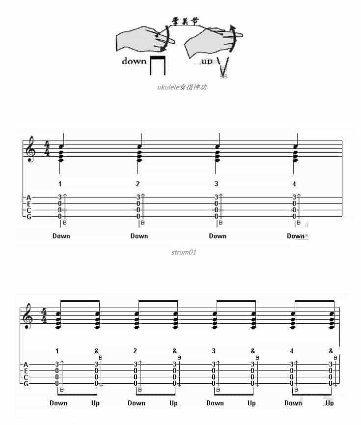 尤克里里初学基础教程,UKULELE练就食指神功_第1张