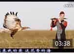 巴乌演奏《我从草原来》视频欣赏