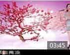 巴乌演奏《一剪梅》视频欣赏