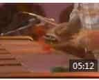 Cal Tjader - Guachi Guara，爵士.颤音琴