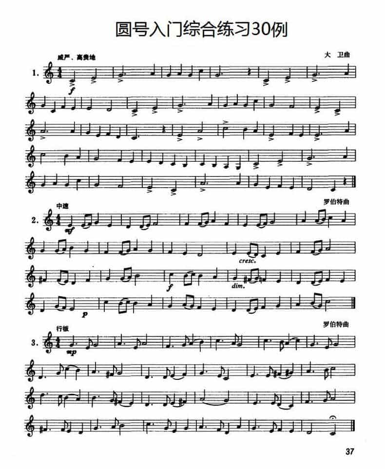 圆号入门综合练习30例 圆号初级练习曲谱大全_第1张