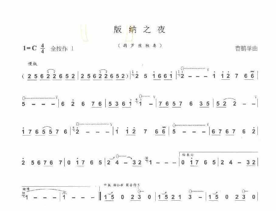 巴乌中高级乐曲《版纳之夜》曹鹏举曲_第1张